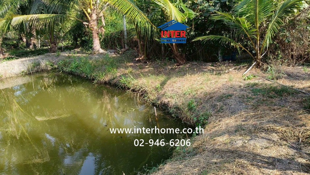 ที่ดินเปล่า 100 ตร.ว. ที่ดิน ใกล้โรงเรียนบ้านบางหอ ซอยโรงน้ำตาลเจ้จอย ถนนเพชรเกษม ถนนหมายเลข1004 เขาย้อย เพชรบุรี – รูปที่ 4