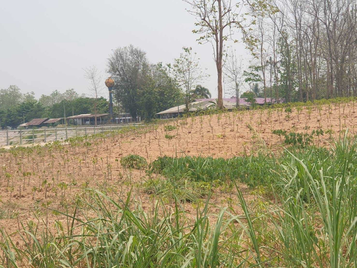 Beautiful piece of land next to the Yom River - mountain view, area 2 rai 2 ngan 17.4 square wah, Thung Laeng Subdistrict, Long District, Phrae Province, price 2,500,000 baht. – รูปที่ 3