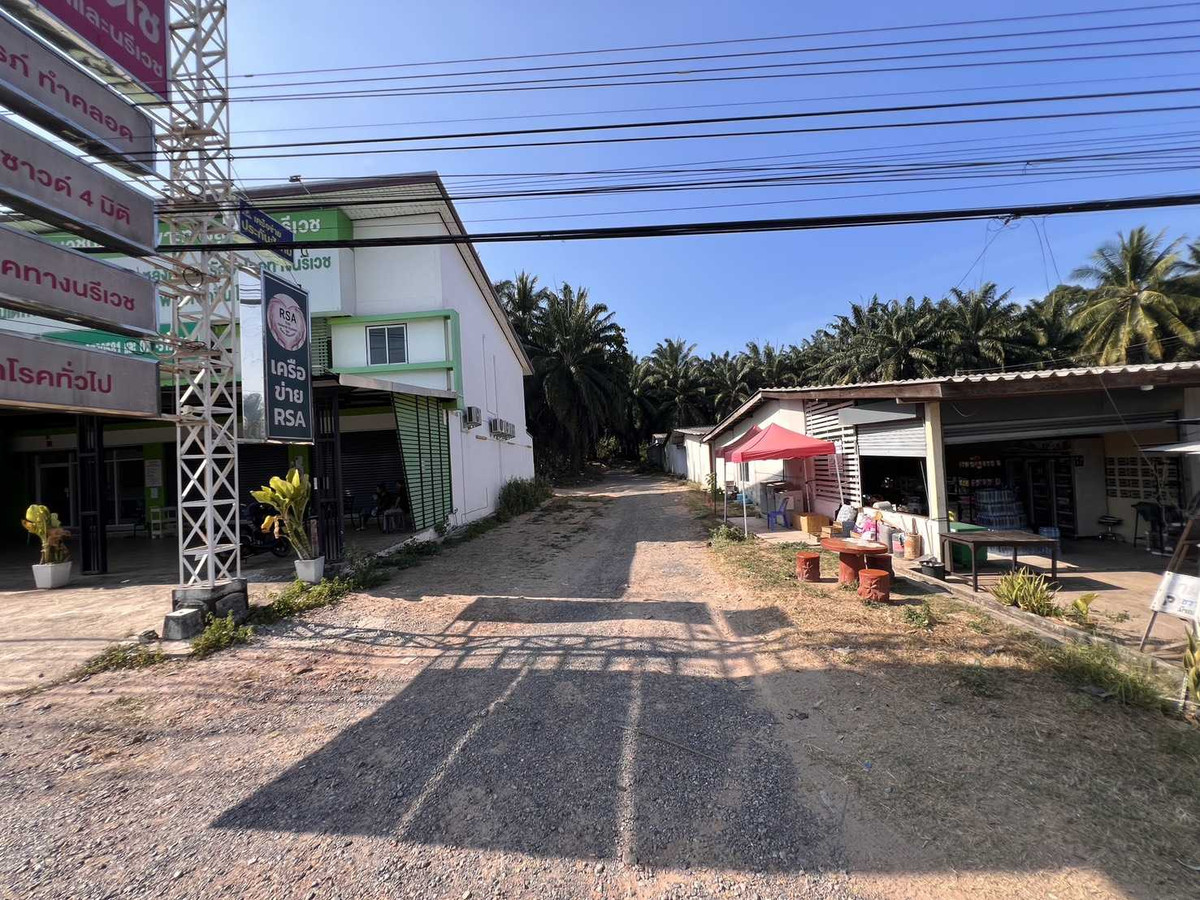 Palm Orchard Land for Sale Main Highway Location Surat Thani – รูปที่ 3