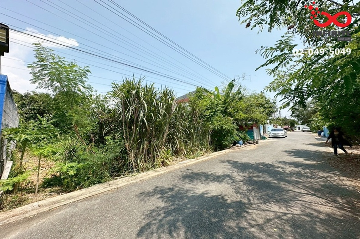 ขายที่ดิน 100 ตร.ว. พุทธมณฑลสาย 2 ทำเลดี แปลงสวย เหมาะสร้างบ้าน  – รูปที่ 3