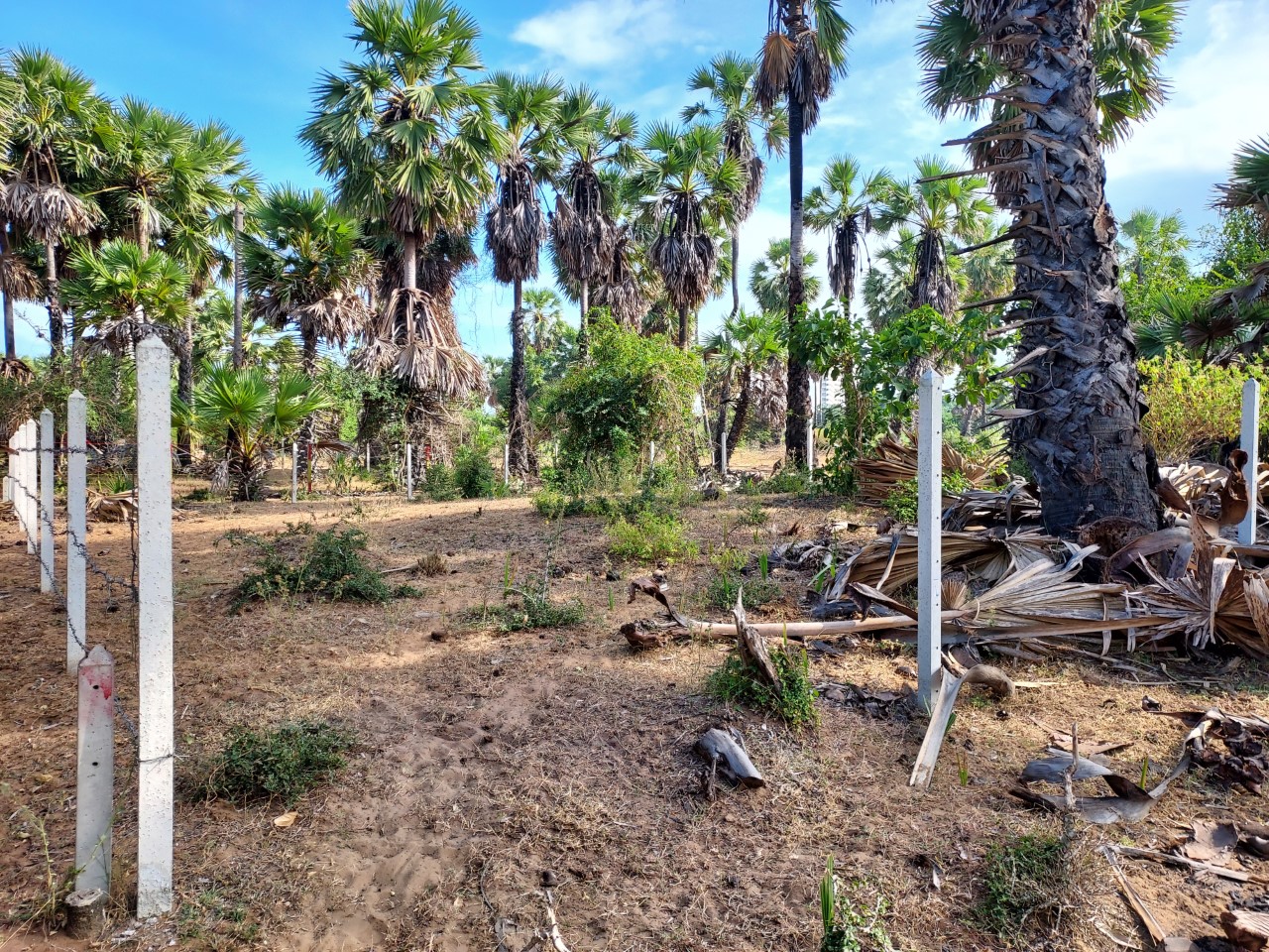 Want to urgently sell vacant land near Sofitel So Hua Hin Hotel and the emerging beachside cafe area in the area. Want to urgently sell vacant land near Sofitel So Hua Hin Hotel and the emerging beachside cafe area in the area.