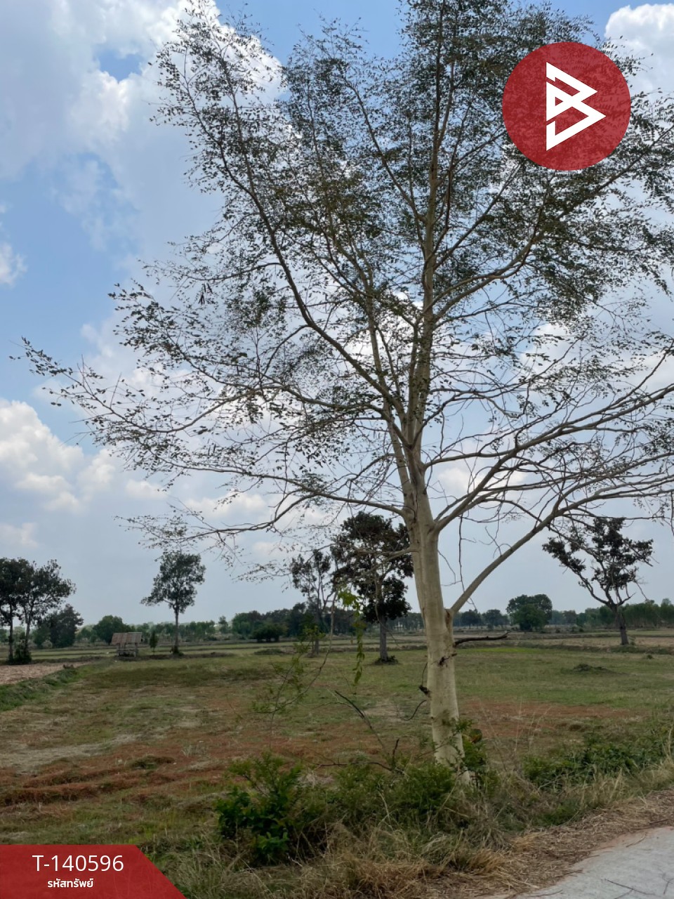 Land for sale, area 10 rai 44.1 sq m, Ban Mai Chaiphot, Buriram. – รูปที่ 4