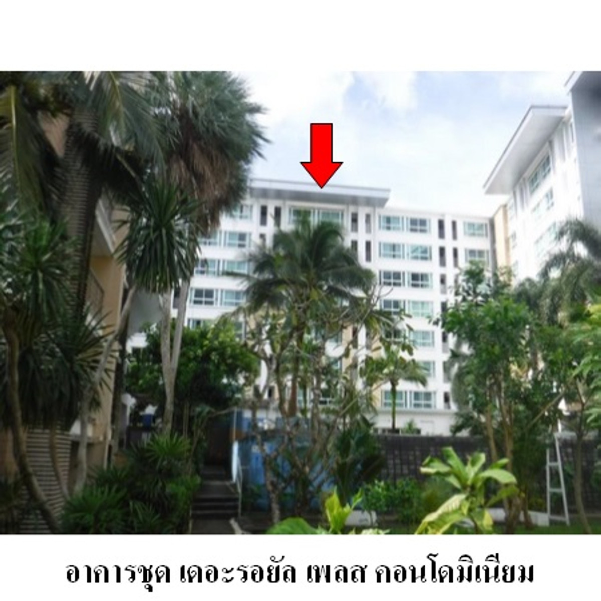 Condo for sale, The Royal Place, near Kathu Mall, Phuket. Condo for sale, The Royal Place, near Kathu Mall, Phuket.
