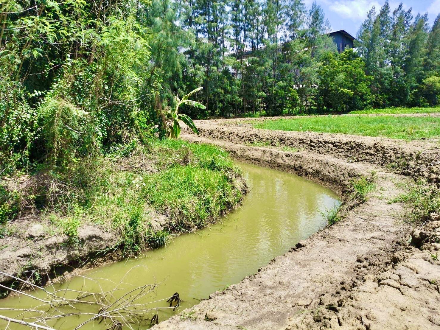 🔥Rare Plot Kamphaeng Saen | For sale / rent land next to the main road, Malai Man, 16-3-87 rai, near M81, only 15 minutes, near Kasetsart University, Kamphaeng Saen, suitable for investment / EV Charging Hub / Logistic – รูปที่ 3