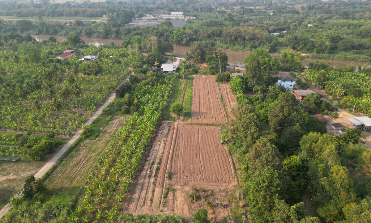 ขายที่ดินติดแม่น้ำน่าน 2 ไร่กว่า บรรยากาศธรรมชาติ เหมาะสร้างบ้านสวน – รูปที่ 3