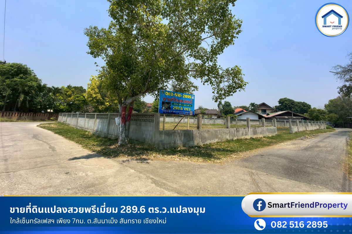 ขายที่ดินถมแล้ว แปลงมุม 3 ด้าน รูปทรงถุงเงินมงคล 289.6 ตร.ว. ห่างถนนใหญ่ ทล.118 เพียง 100 เมตร สันนาเม็ง สันทราย เชียงใหม่ ขายที่ดินถมแล้ว แปลงมุม 3 ด้าน รูปทรงถุงเงินมงคล 289.6 ตร.ว. ห่างถนนใหญ่ ทล.118 เพียง 100 เมตร สันนาเม็ง สันทราย เชียงใหม่