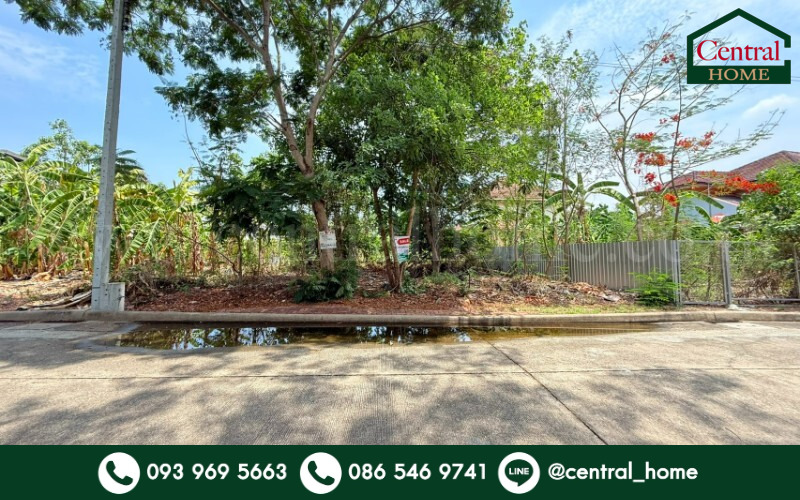 ที่ดินถมแล้ว หมู่บ้าน ชัยพฤกษ์ วงแหวน - รัตนาธิเบศร์ ซอยวัดลาดปลาดุก ราคาถูก ที่ดินถมแล้ว หมู่บ้าน ชัยพฤกษ์ วงแหวน - รัตนาธิเบศร์ ซอยวัดลาดปลาดุก ราคาถูก