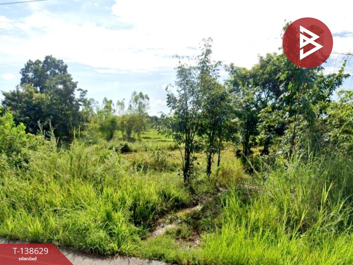 ขายที่ดิน เนื้อที่ 4 ไร่ 3 งาน 65 ตร.วา ท่าบ่อ หนองคาย – รูปที่ 4