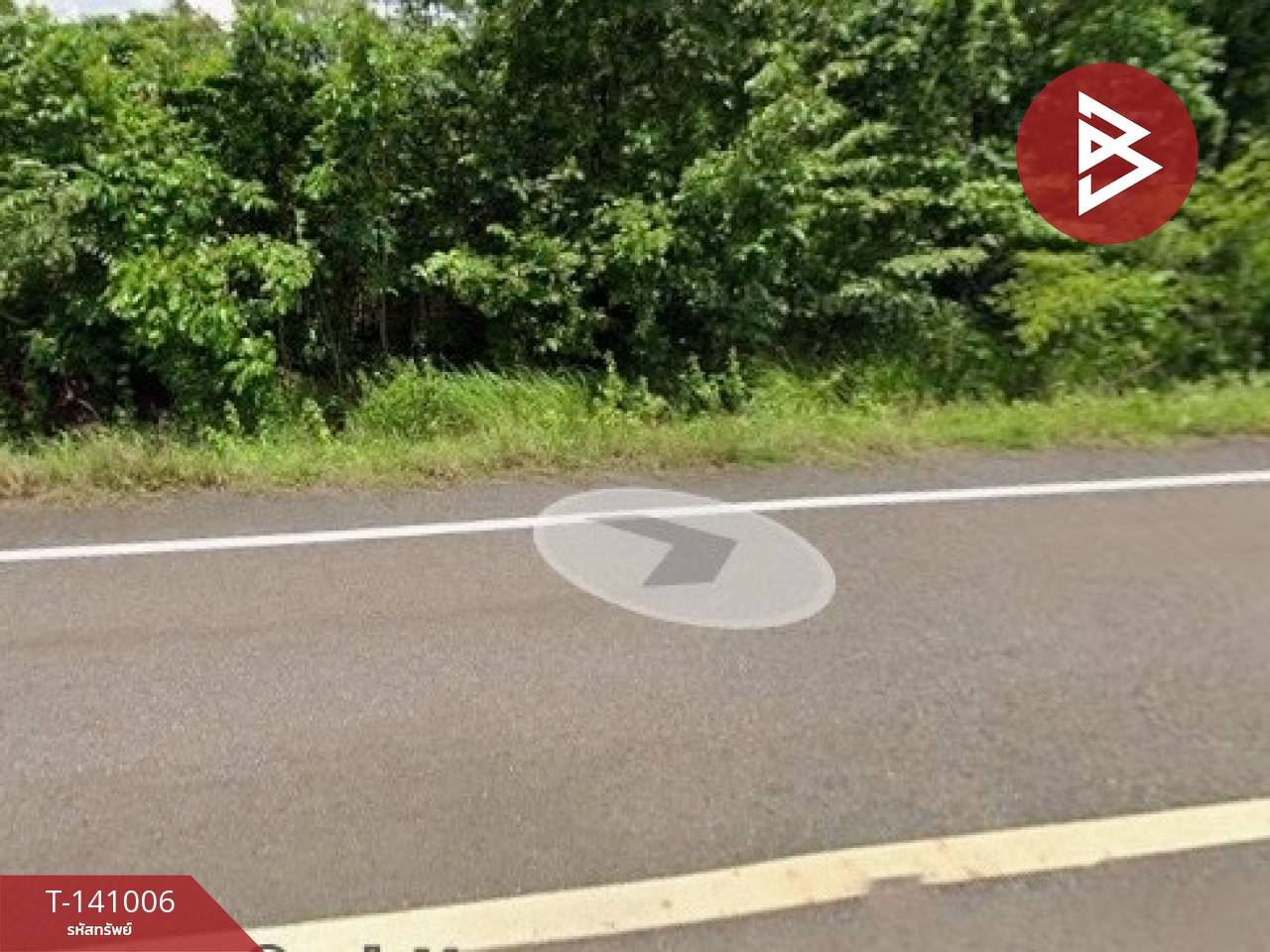 ขายที่ดิน เนื้อที่ 11 ไร่ 3 งาน 72 ตร.วา ปลาปาก นครพนม – รูปที่ 3
