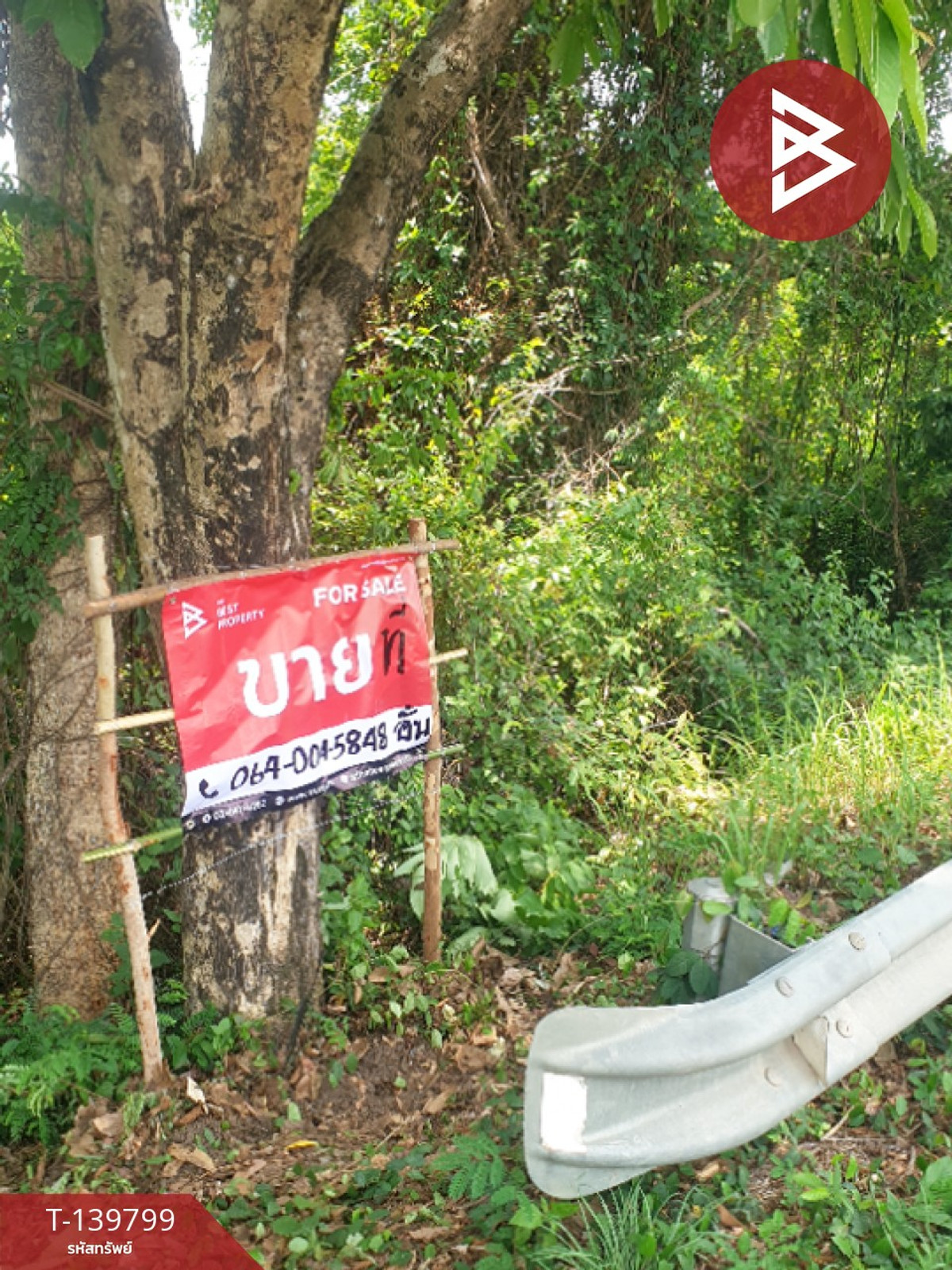 Land for sale, area 9 rai, Kham Toei, Nakhon Phanom. – รูปที่ 4
