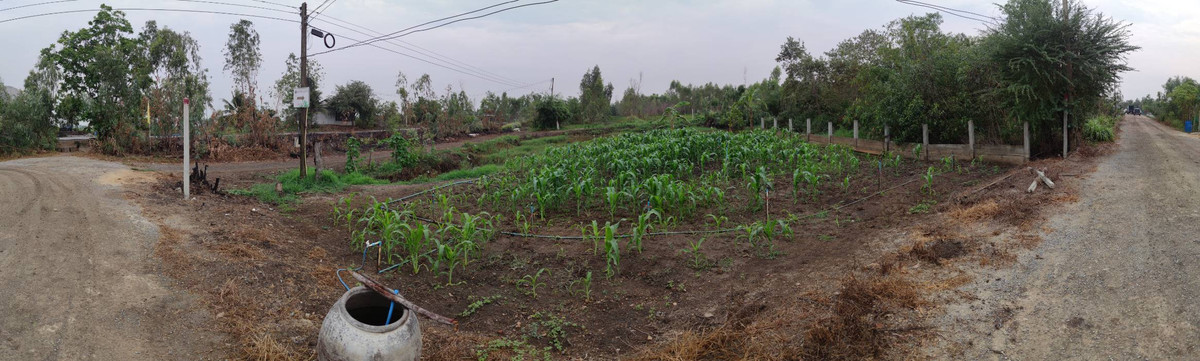 Land for sale, 200 square wah, Bang Luang Subdistrict, Bang Len District, Nakhon Pathom Province. Land for sale, 200 square wah, Bang Luang Subdistrict, Bang Len District, Nakhon Pathom Province.