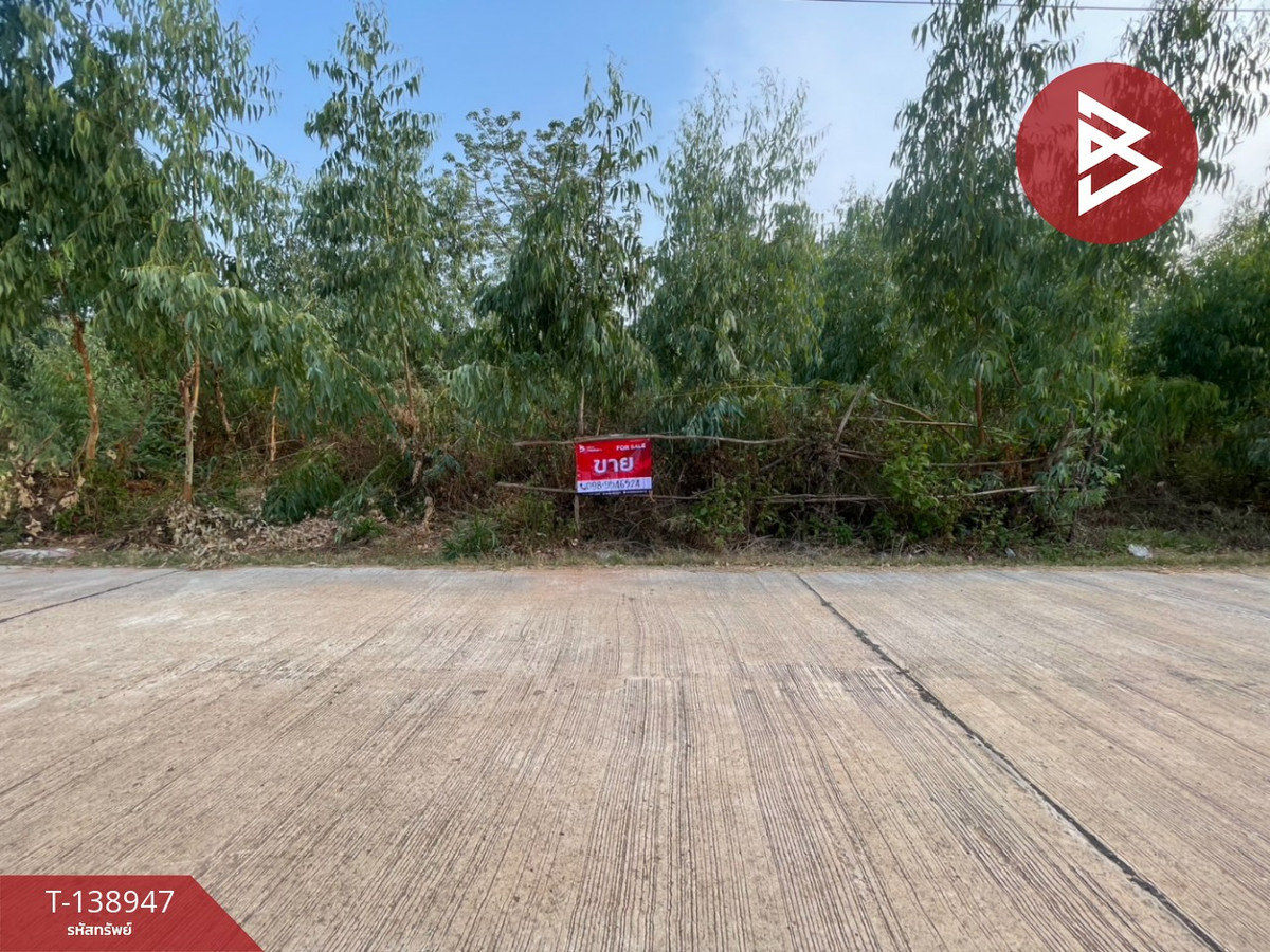 ขายที่ดิน เนื้อที่ 3 ไร่ 1 งาน 15 ตร.วา บ้านแฮด ขอนแก่น – รูปที่ 3