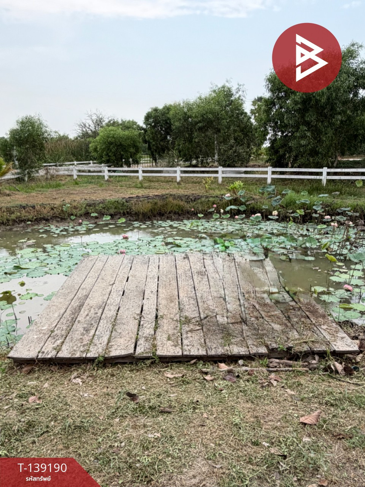 ขายบ้านเดี่ยวพร้อมที่ดิน เนื้อที่ 2 ไร่ 1 ตร.วา องครักษ์ นครนายก – รูปที่ 4