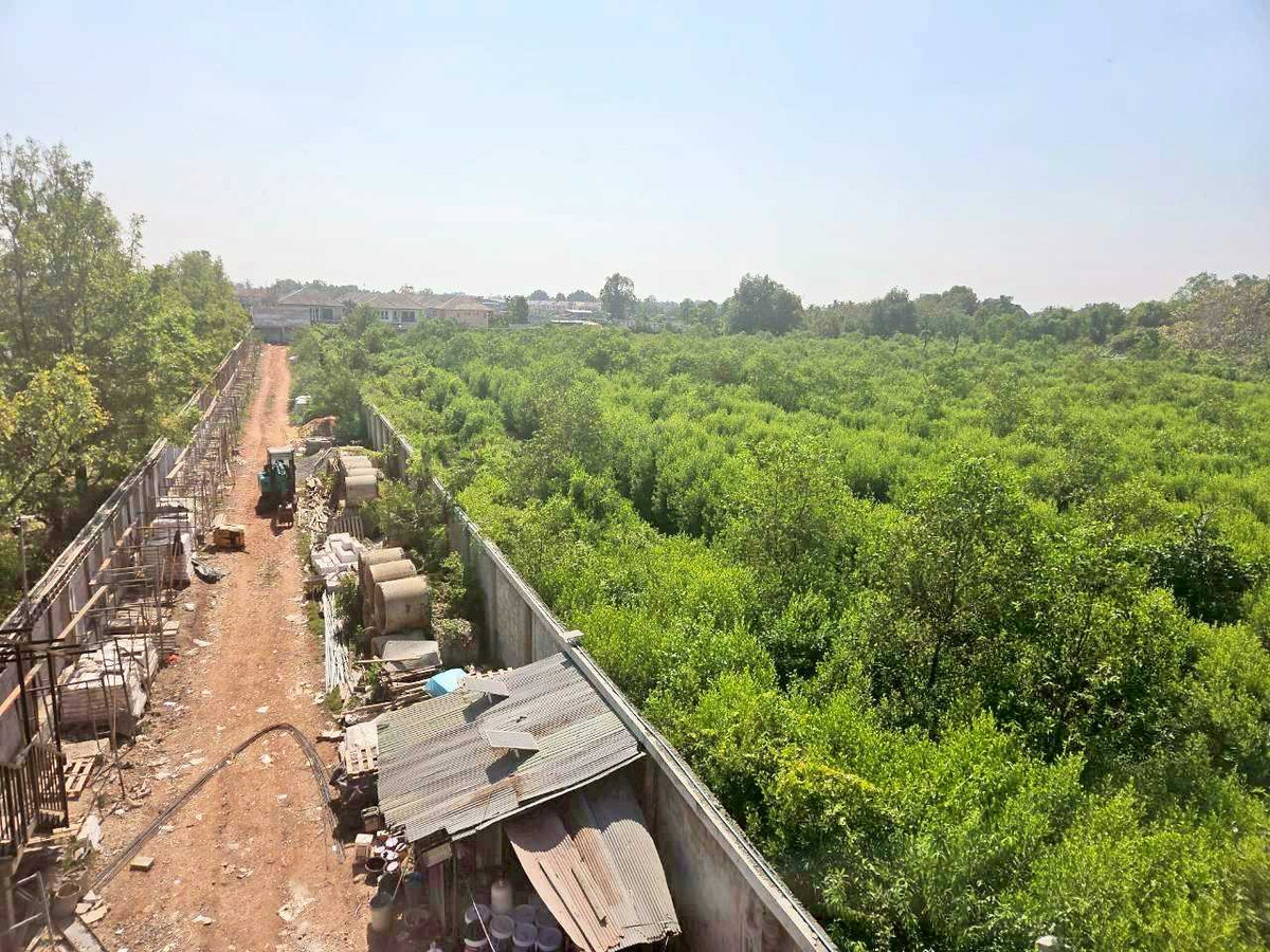 Land for Sale: Prime Location on Rama 2 Road KM 28-29 Pink Zone Layout Near Major Industrial Hubs – รูปที่ 2