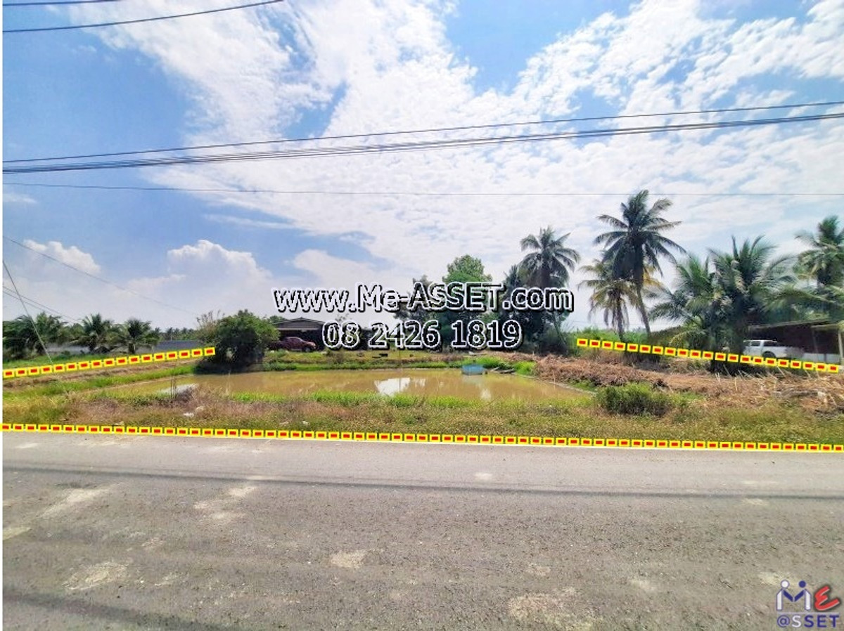 🌳 20-Rai Prime Agricultural Land 📍 Lan Tak Fa, Nakhon Pathom. 3-sided road access, canal-side, near M81 Motorway (Dao Thong) & Orange Coffee. Perfect for investment (NN-91426) – รูปที่ 3