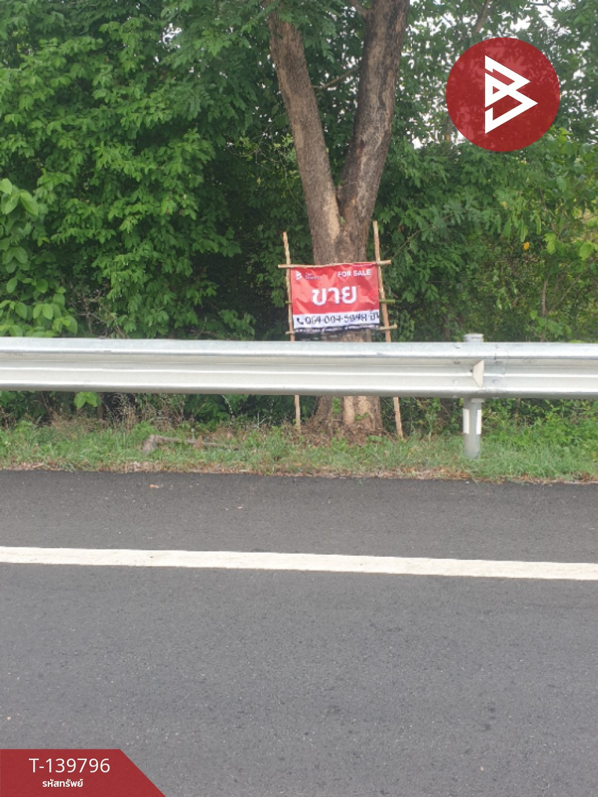 ขายที่ดิน เนื้อที่ 10 ไร่ 1 งาน 57 ตร.วา คำเตย นครพนม – รูปที่ 2