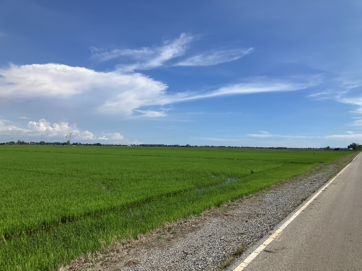 ขายที่ดินผืนใหญ่ 110 ไร่ ใกล้กรุงเทพฯ ทำโกดัง/จัดสรรได้ – รูปที่ 4