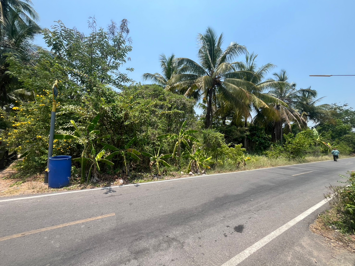 ราคาพิเศษสุด ถูกกว่าที่อื่น ที่สวน ทำเลดี บรรยากาศร่มรื่น ใกล้แหล่งชุมชน วัดศรัทธาราษฎร์และโรงเรียน ที่พักอาศัยและแหล่งพักผ่อน ราคาพิเศษสุด ถูกกว่าที่อื่น ที่สวน ทำเลดี บรรยากาศร่มรื่น ใกล้แหล่งชุมชน วัดศรัทธาราษฎร์และโรงเรียน ที่พักอาศัยและแหล่งพักผ่อน