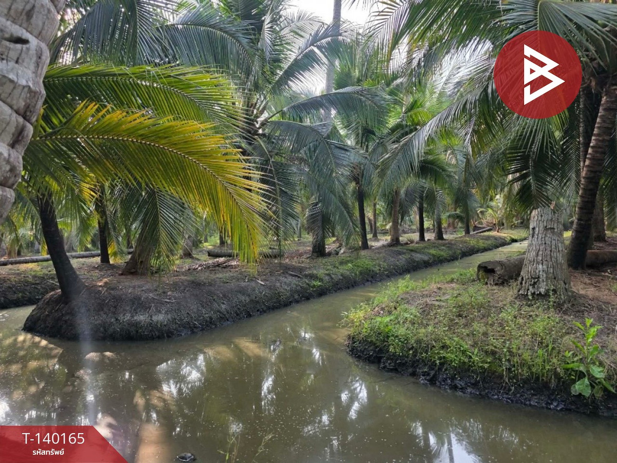 Land for sale, area 4 rai 32.2 Bang Khonthi, Samut Songkhram Land for sale, area 4 rai 32.2 Bang Khonthi, Samut Songkhram