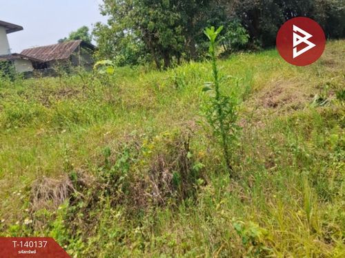 Land for sale, area 3 ngan 3 sq m, Mae Kon, Chiang Rai