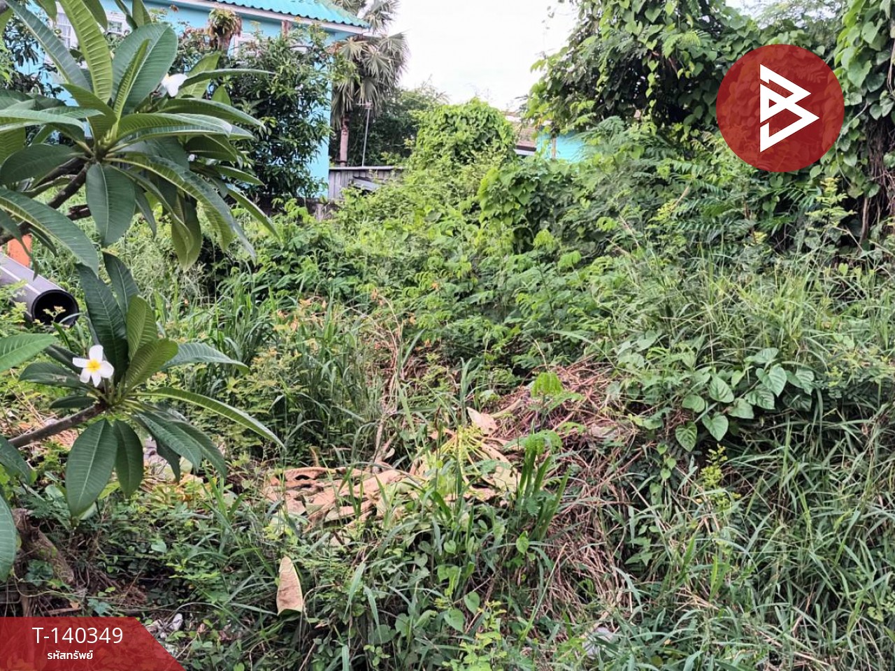 ขายด่วนที่ดิน ในหมู่บ้านพฤกษา2 เนื้อที่ 60 ตร.วา คคลอง 8 รังสิต ธัญบุรี ปทุมธานี 