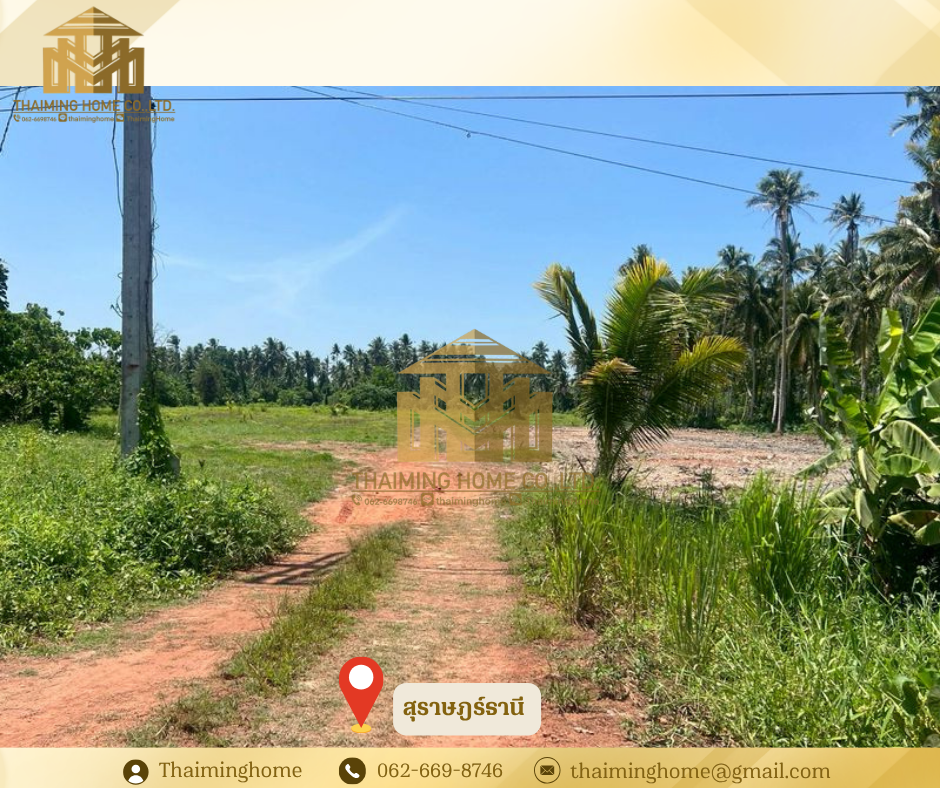 Large plot of land for sale in a prime location in Mueang District, Surat Thani (TL6-0226)