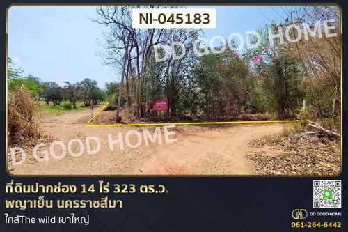 Land for sale in Pak Chong, Phaya Yen, Nakhon Ratchasima. 14 rai 323 sq.wa. NI-045183