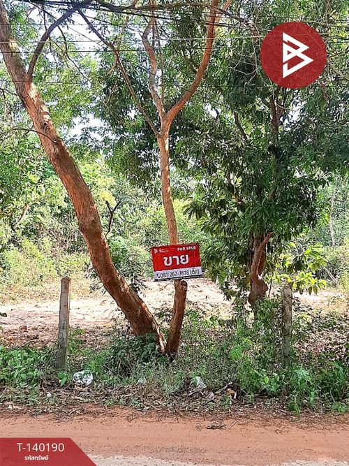 Land for sale, area 6 rai 3 ngan 58 sq m, Pa Fa-Yang Yai, Roi Et, location next to the road.