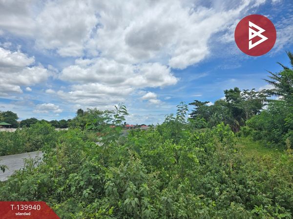 Land for sale, area 12 rai 20 sq m, Tha Yang, Phetchaburi.