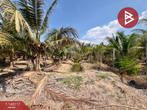 Land for sale with fruit orchard, area 2 rai 14 square wah, Tha Muang, Kanchanaburi.
