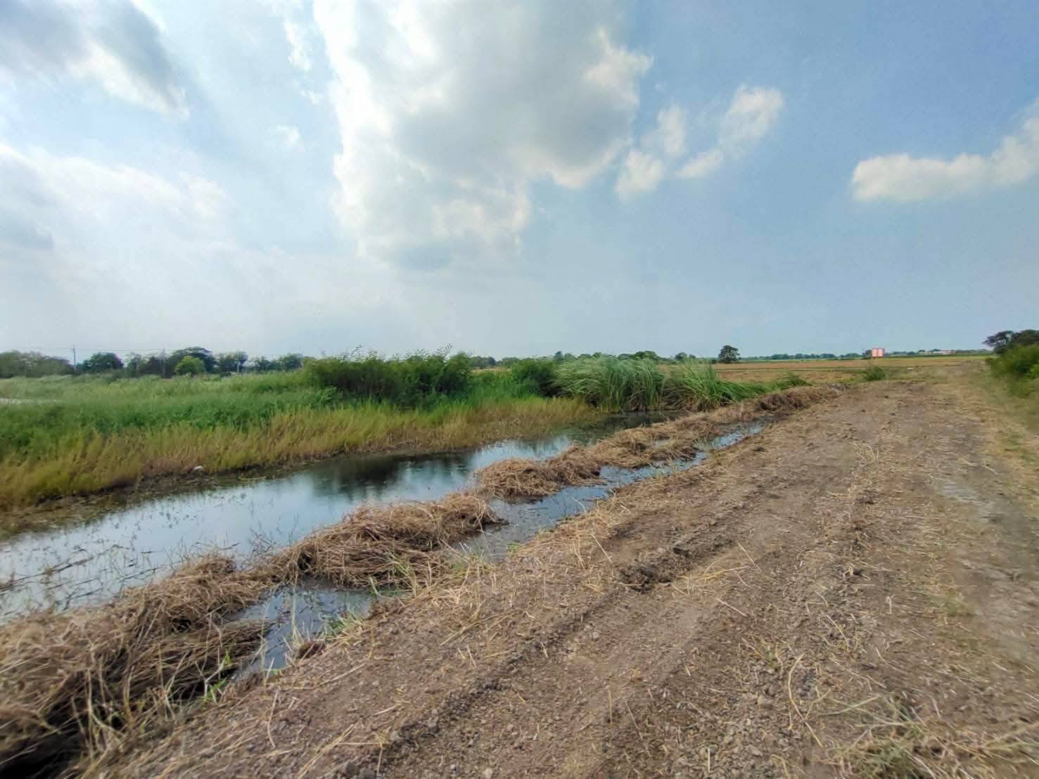 Land for sale, over 7 rai, next to the main road, Sena District, Ayutthaya, convenient travel, only 8.5 million.
