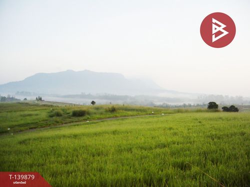 Land for sale, area 1 ngan, 84.4 sq m, Khao Kho, Phetchabun.