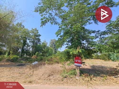 Urgent sale of vacant land, area 3 rai 2 ngan 50 square wah, Sa-at Sombun Subdistrict, Roi Et.