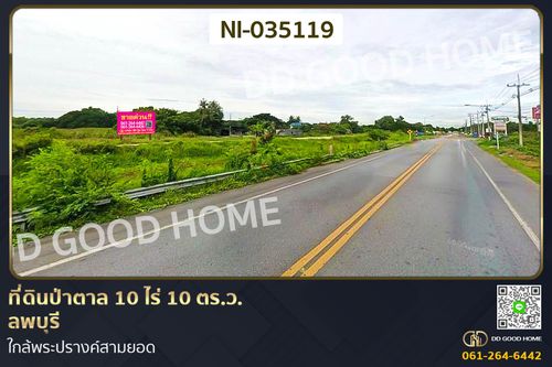 Land for sale in Pa Tan, Lopburi, near Phra Prang Sam Yot. NI-035119