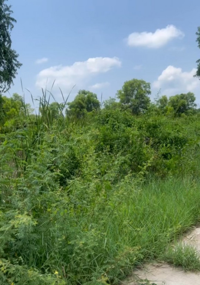 Land for Sale in Klaeng District, Rayong Province, 9 Rai 2 Ngan 62 Sq.wah, Hua Samet Alley, Near Thung Kha Beach