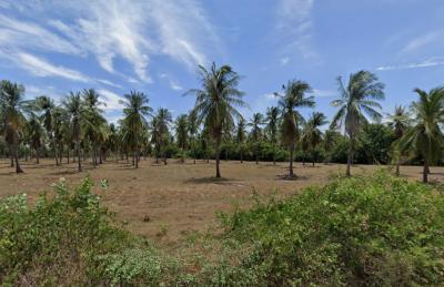 ขายที่ดินประจวบฯ 20 ไร่ 2 งาน 77 ตร.ว. ใกล้ถ้ำลับ หาดทุ่งน้อย และหาดน้ำมรกต