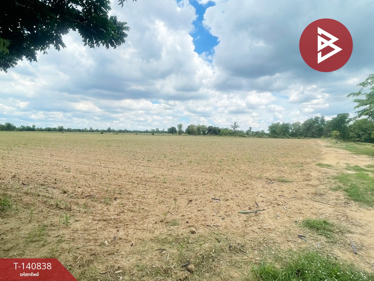 Land for sale, area 28 rai 64 sq m, Nong Krot, Nakhon Sawan.