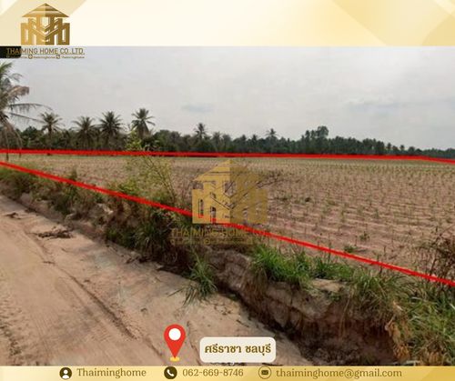 ขายที่ดิน ผังสีม่วงลาย ทำเลศักยภาพสูง โซนบ่อวิน ศรีราชา ชลบุรี  (TL07-0326)