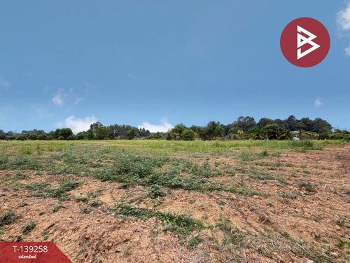 Land for sale, area 20 rai 1 ngan 31 sq m, Si Maha Phot, Prachinburi.