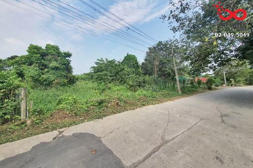 ขายที่ดิน 366 ตรว. ถนนลำไทร หนองจอก ติดถนน 2 ด้าน ปลดล็อคทุกไลฟ์สไตล์ บนที่ดินผืนสวย
