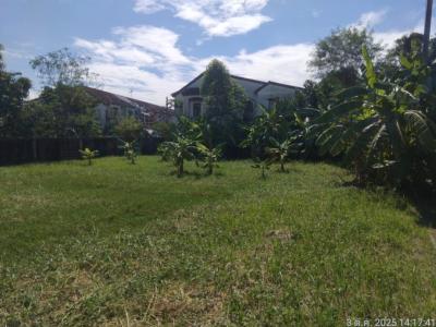 For Sale Land , Sivalee Rangsit 2 , Khu Khot , Lam Luk Ka , Pathum Thani , CX-154968