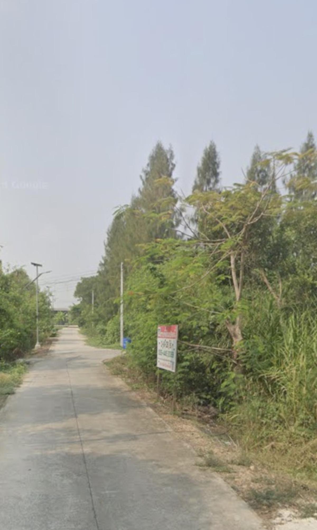 For Sale land plot 1-3-38, Sam Khok, Pathum Thani. , Bang Pho Nuea , Sam Khok , Pathum Thani , CX-154804