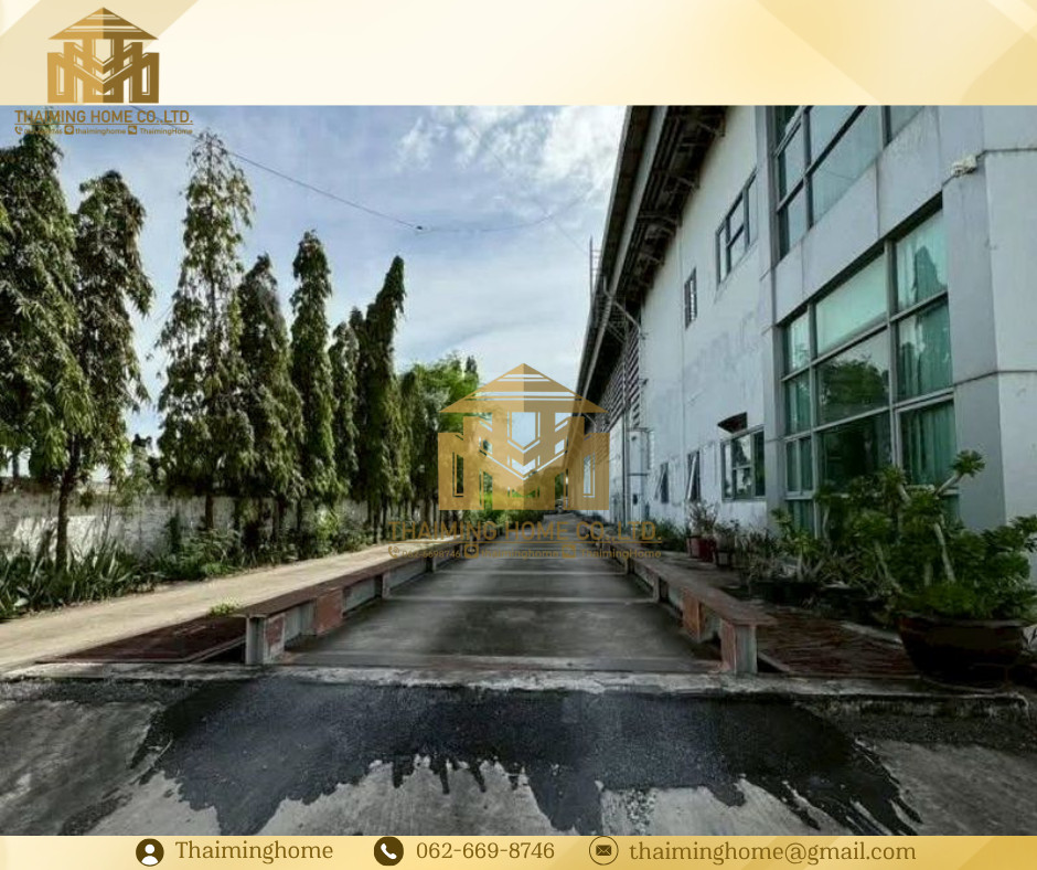 Warehouse/warehouse for rent, King Kaeo, Samut Prakan, 1,344 sq m, Racha Thewa, Bang Phli (TW8-21026) – รูปที่ 3