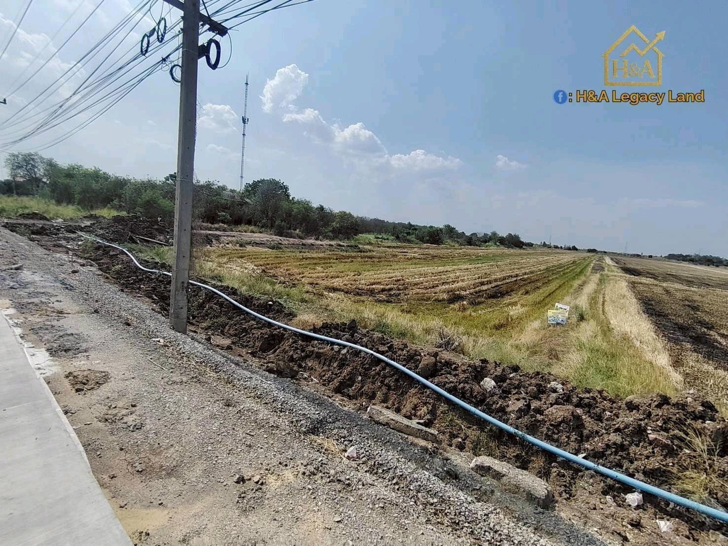 ขายที่ดินติดถนนลาดบัวหลวง-ไม้ตรา (ถนน 4 เลน)ขายยกแปลง 10 ไร่ 96 ตร.ว. – รูปที่ 4
