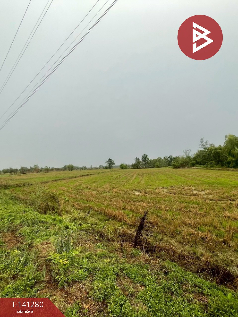 Land for sale 12 rai 1 ngan 76.1 sq m, Khanu Woralaksaburi, Kamphaeng Phet. Land for sale 12 rai 1 ngan 76.1 sq m, Khanu Woralaksaburi, Kamphaeng Phet.