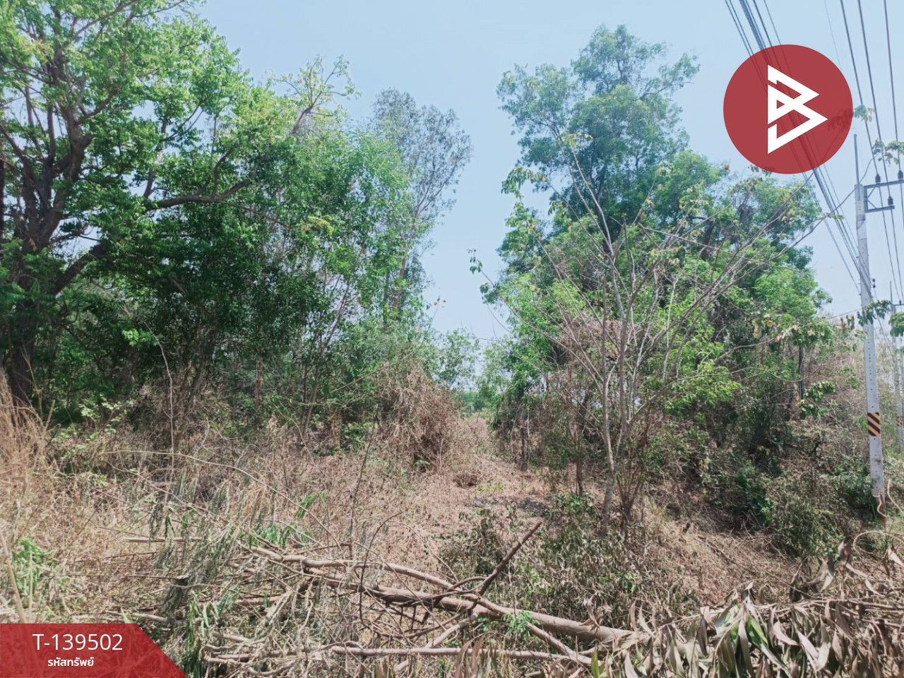 ขายที่ดิน เนื้อที่ 14 ไร่ 61.9 ตร.วา ราชสาส์น ฉะเชิงเทรา – รูปที่ 2