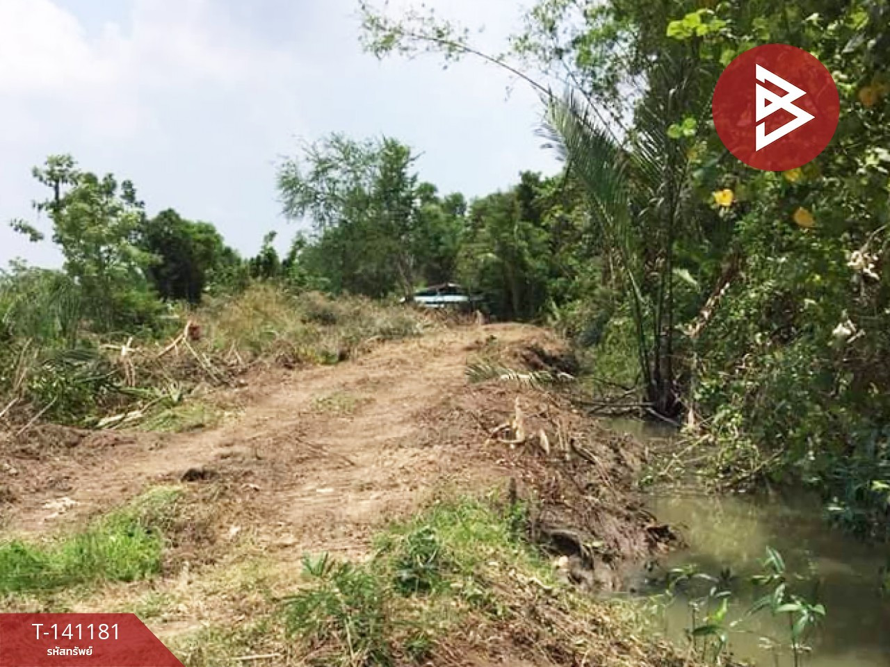 ขายที่ดิน เนื้อที่ 9 ไร่ 3 งาน 81 ตร.วา บ้านใหม่ ฉะเชิงเทรา – รูปที่ 4