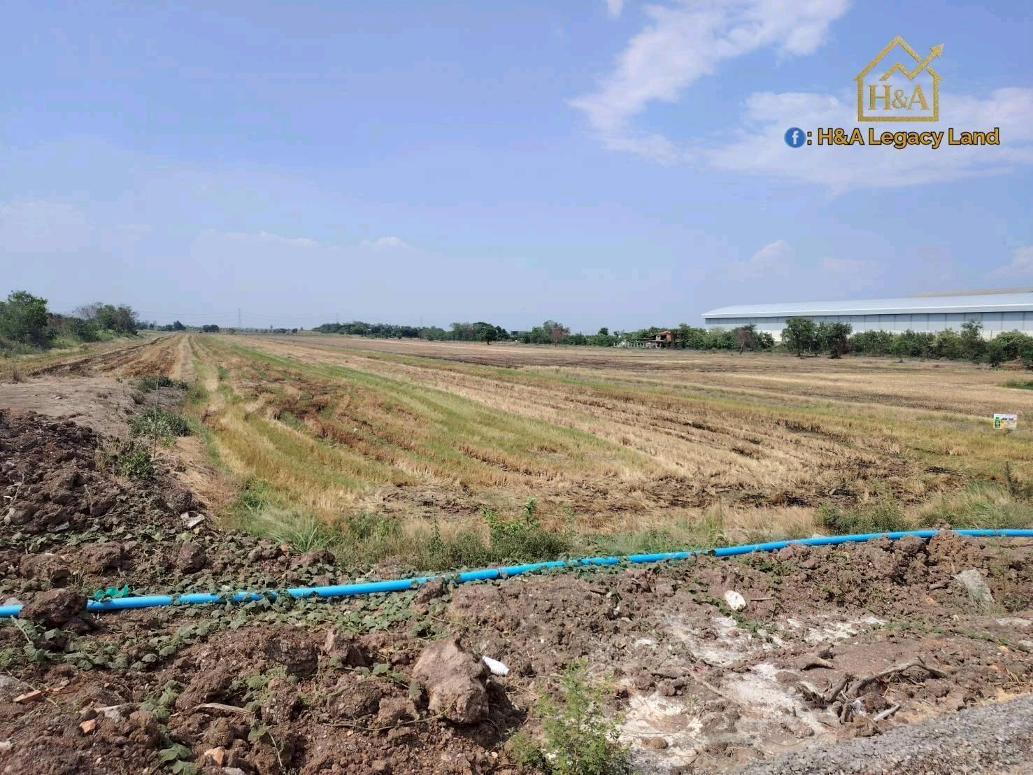 ขายที่ดินติดถนนลาดบัวหลวง-ไม้ตรา (ถนน 4 เลน)ขายยกแปลง 10 ไร่ 96 ตร.ว. – รูปที่ 2