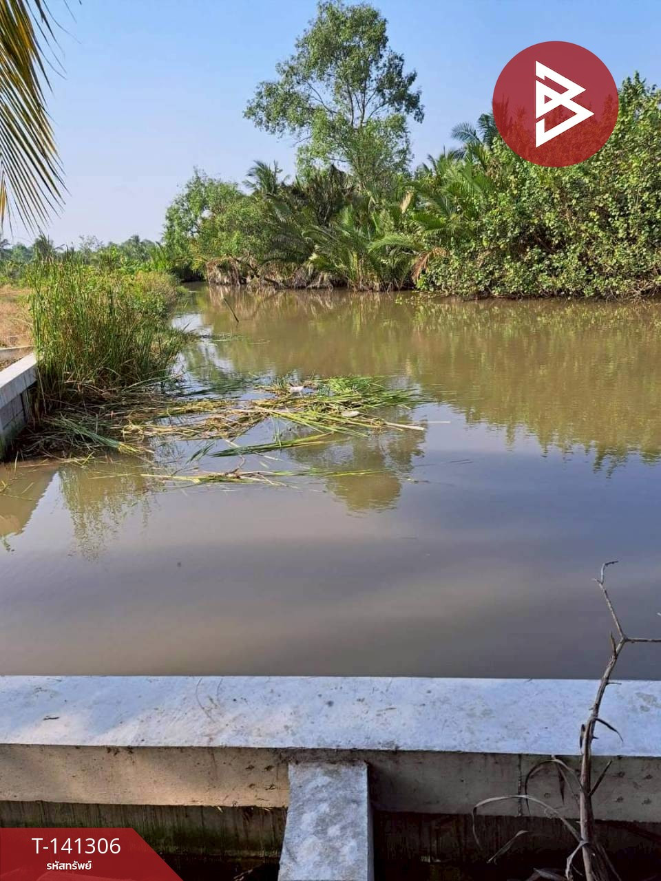  ขายที่ดิน เนื้อที่ 1 งาน 46.6 ตร.วา อัมพวา สมุทรสงคราม – รูปที่ 4