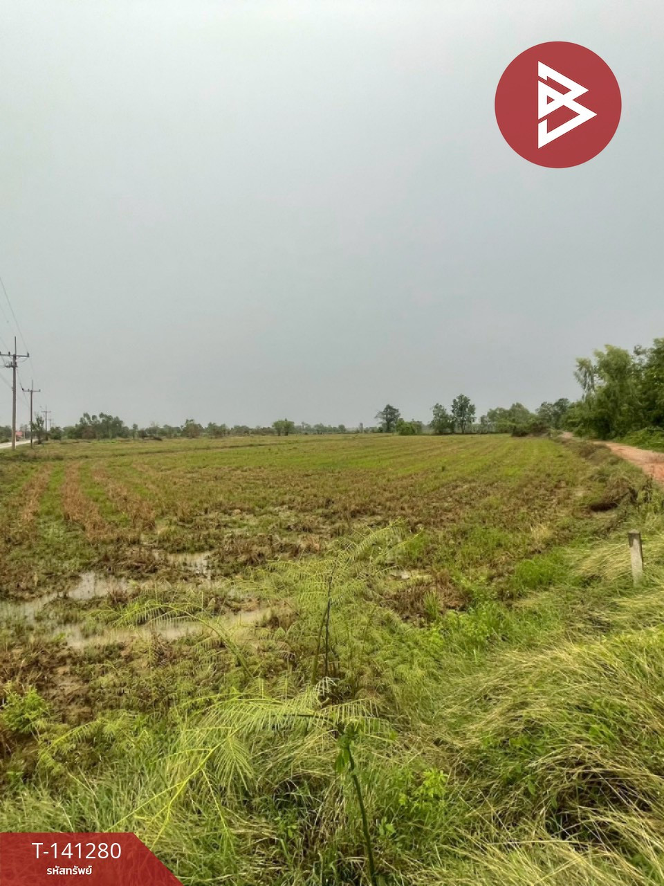 Land for sale 12 rai 1 ngan 76.1 sq m, Khanu Woralaksaburi, Kamphaeng Phet. – รูปที่ 3